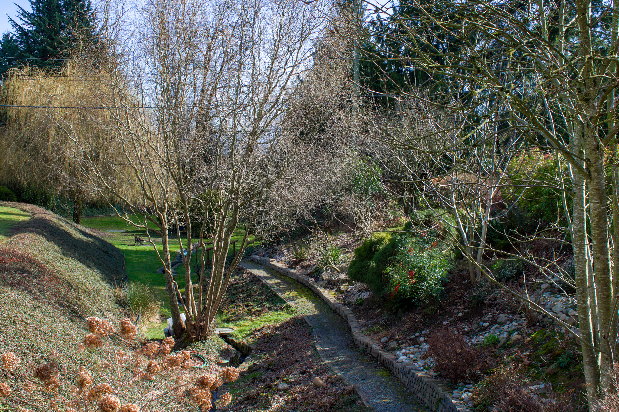 Landscaping at Pioneer Park