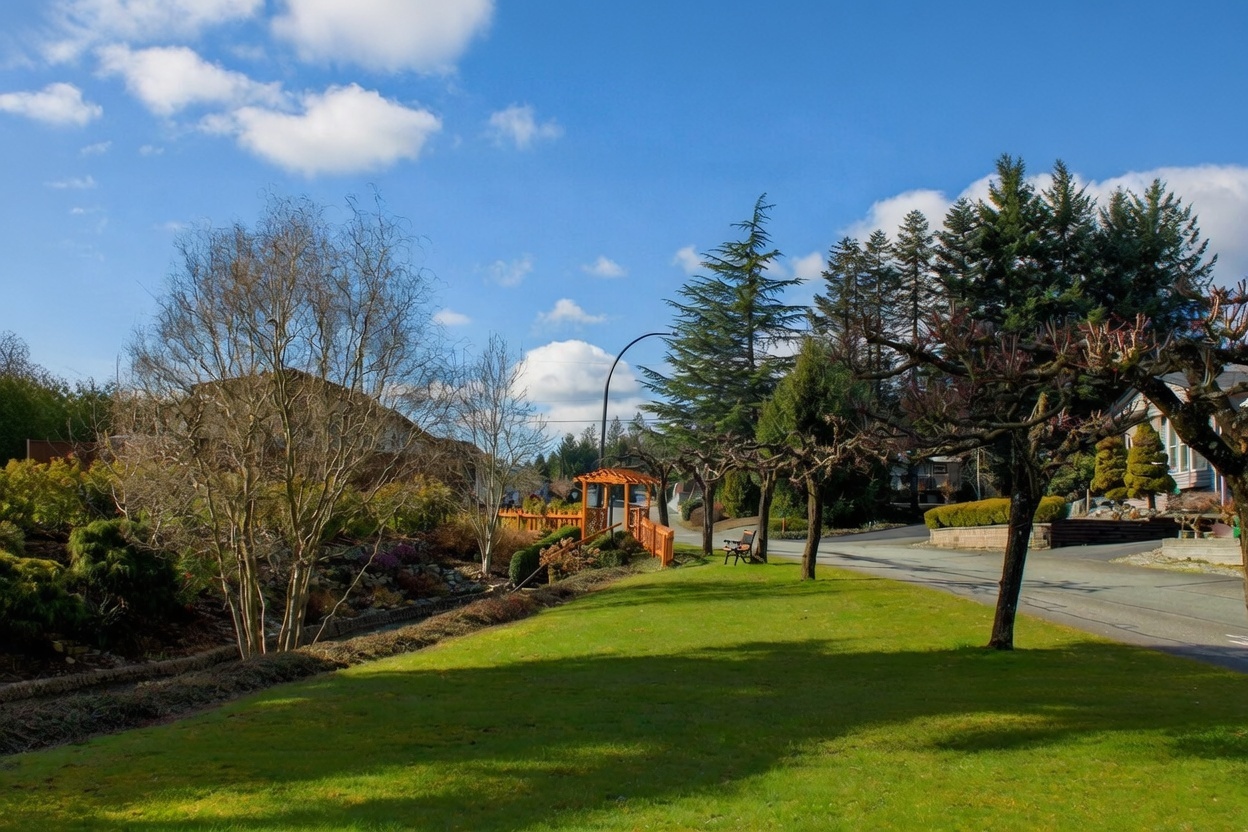 Pioneer Park - Common area