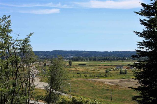 view from Panorama Ridge