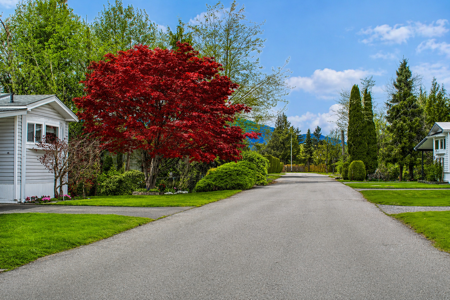 image shows manufactured homes section at Cottonwood Retirement Village